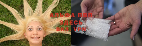 стафф Алзамай