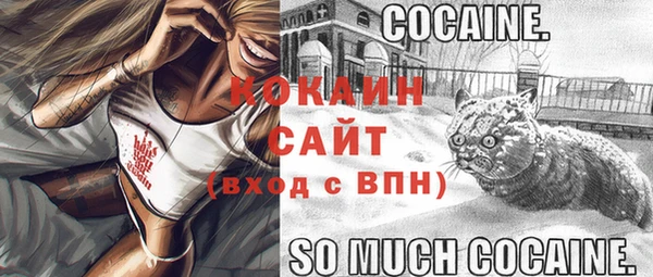 стафф Алзамай