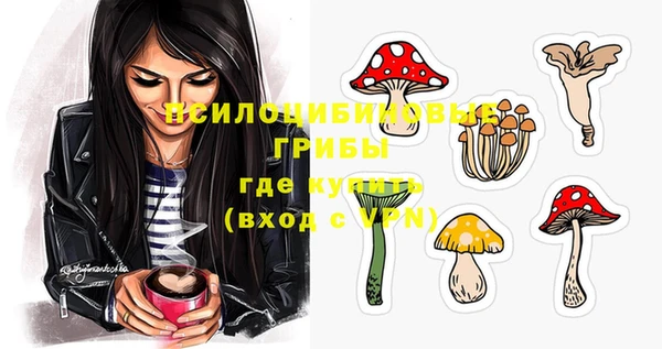 герыч Алексин