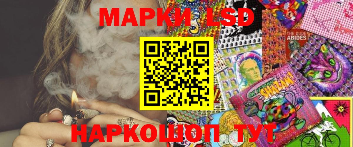 Галлюциногенные грибы Арзамас